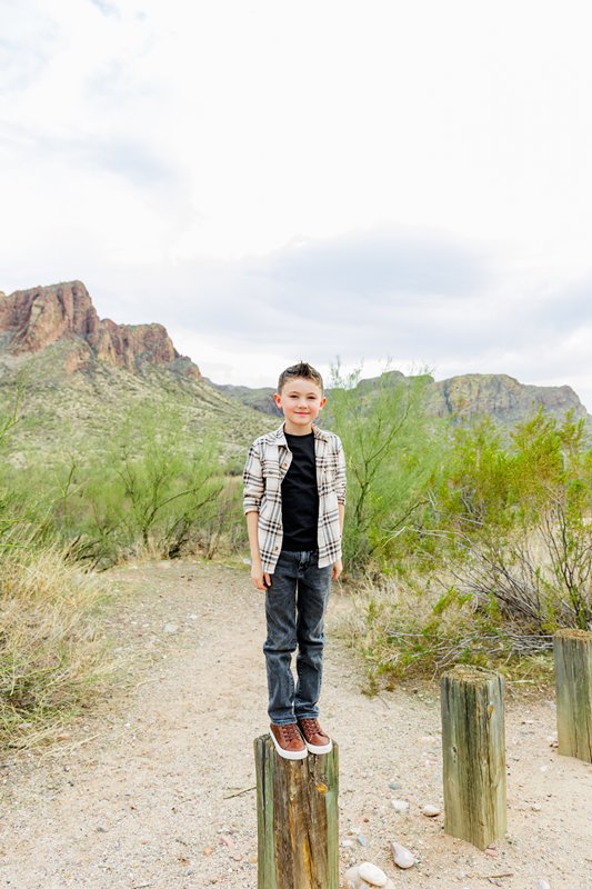 family photo session boy on a stump